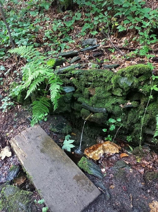 Studánka Mariin pramen