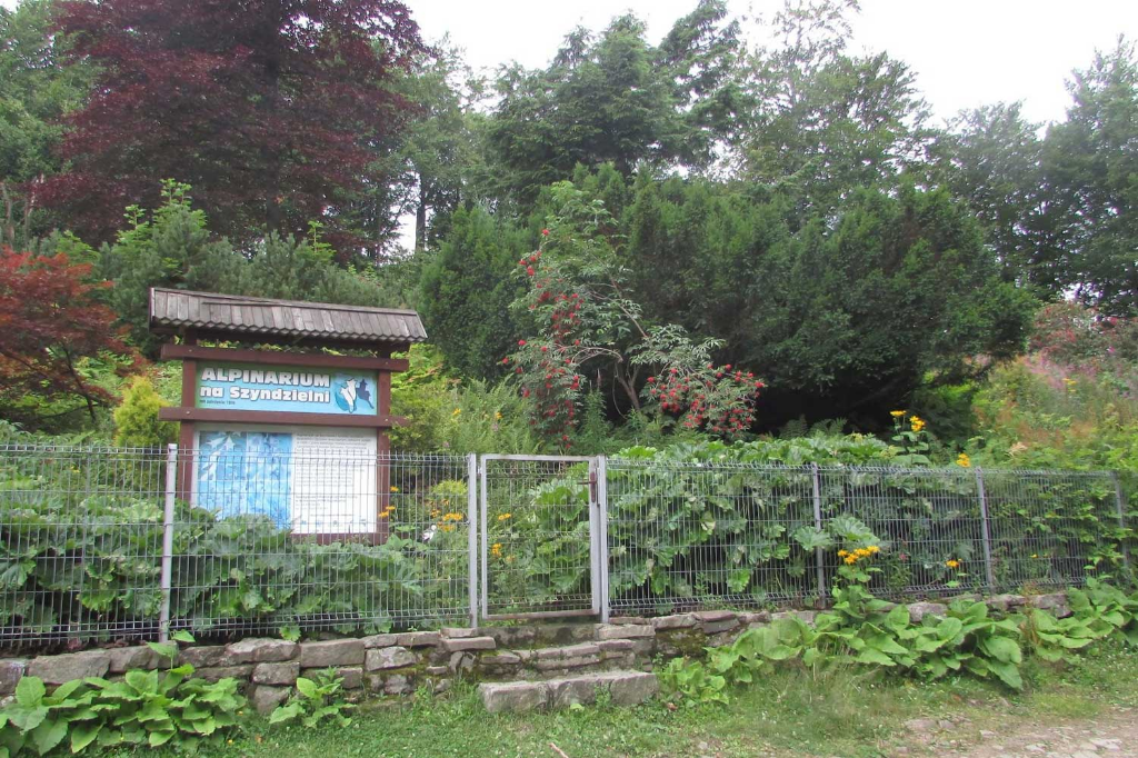 Szyndzielnia 