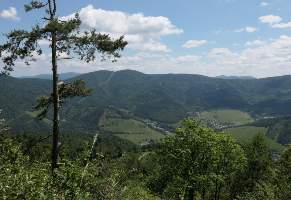 Biela skala, vyhliadkový bod