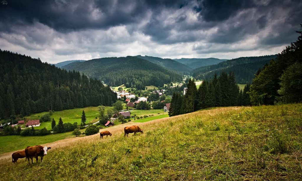 Výhled nad Lanternou