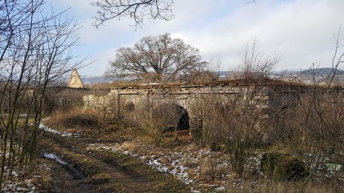 2025*Zřícenina tvrze Šumná Česko Klášterec nad Ohří 