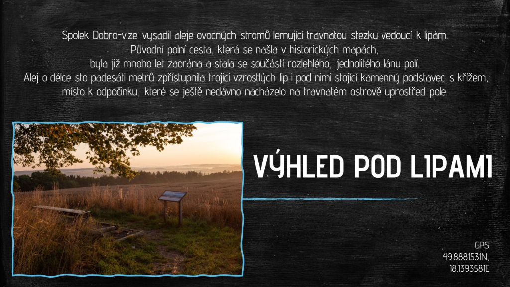 24-Výhled pod lipami