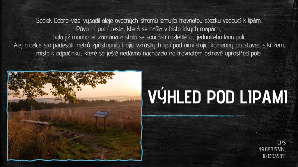 2024 Výhled pod lipami