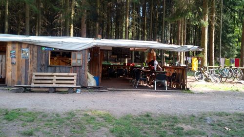 OK25-Tábořiště Hubertus  Bor, Česko