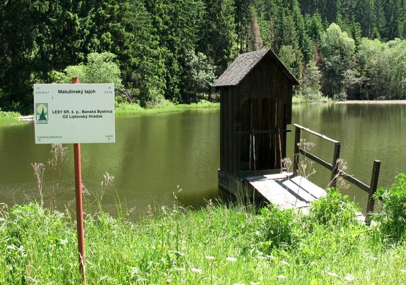 Malužinský tajch