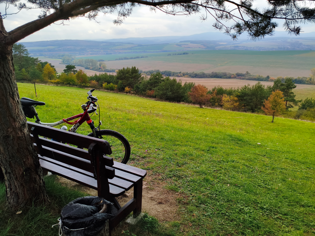 Ortáše - lavička pod borovicami