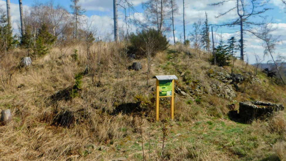 Pozůstatky hradu Burkvíz (Luginsland)