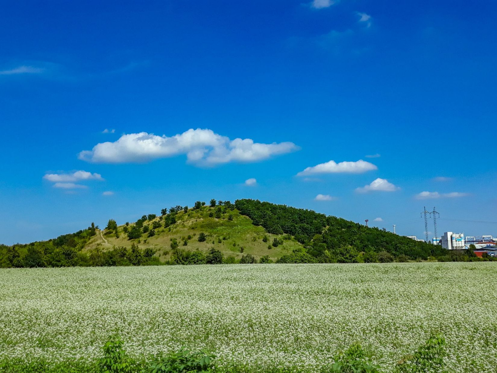 Kilimandžáro