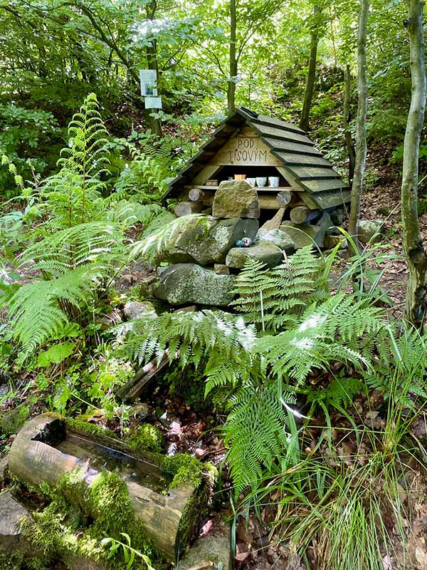 Studánka Pod Tisovým