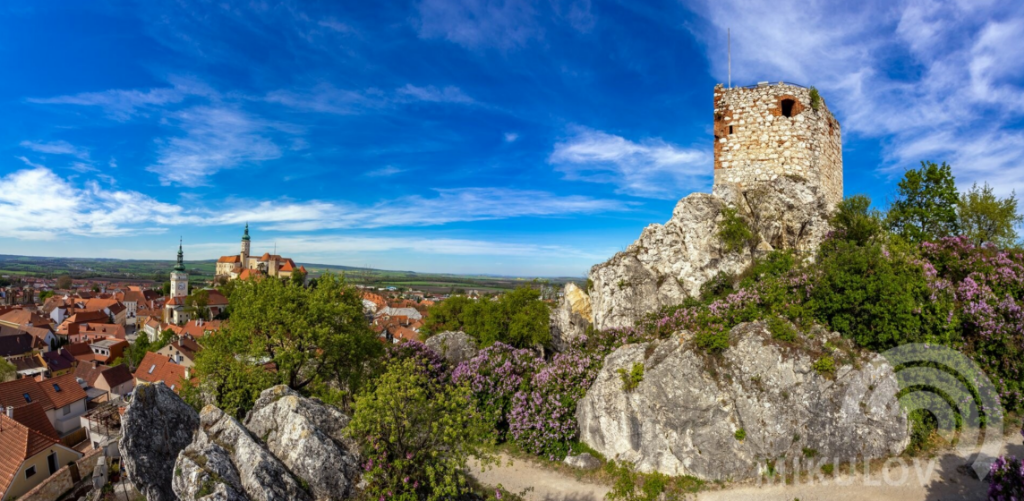 2025 - 15) Zřícenina Kozí Hrádek