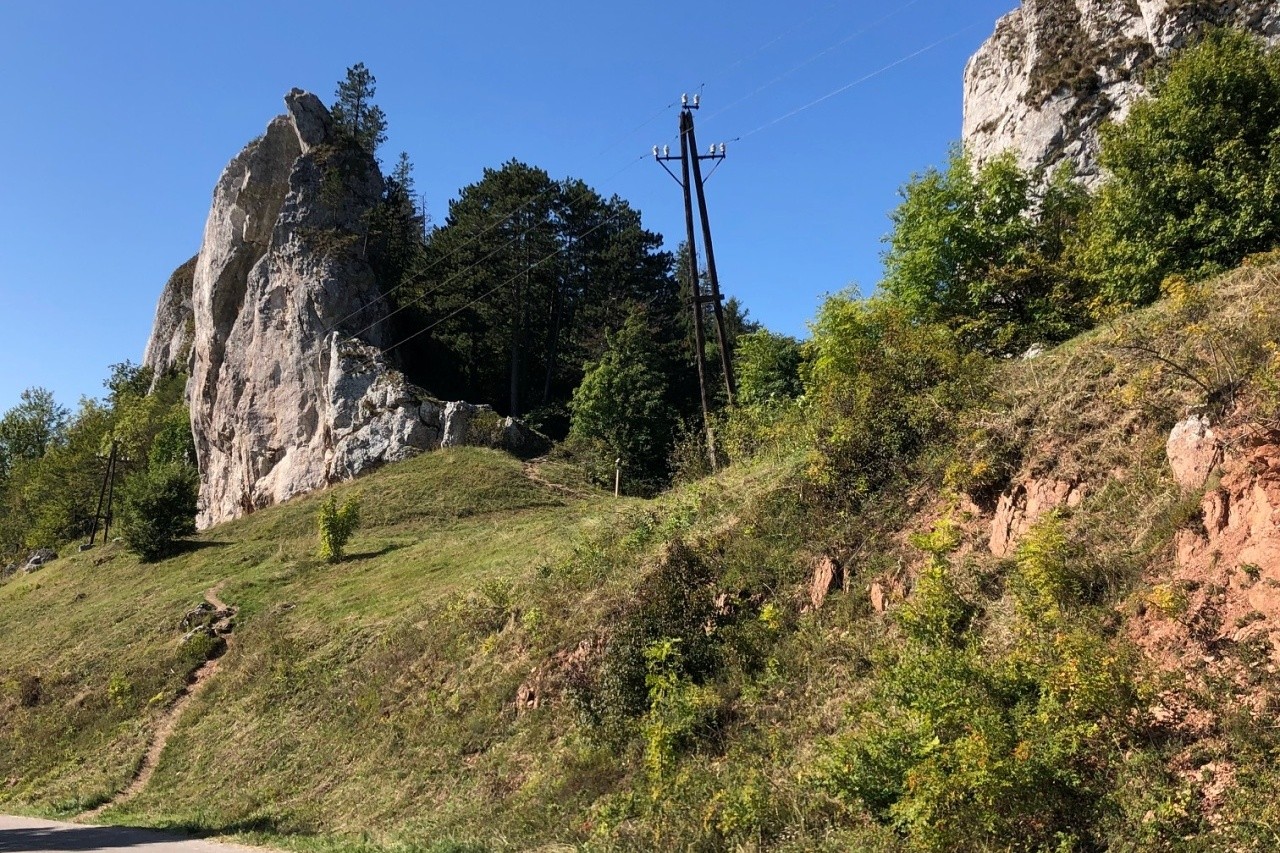 Vršatec