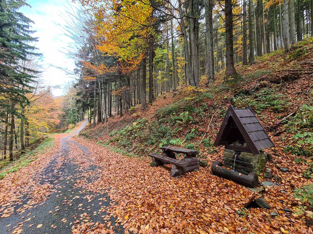 Studánka Na Sídle