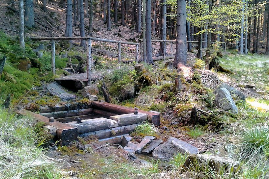 5 Oslí studánka