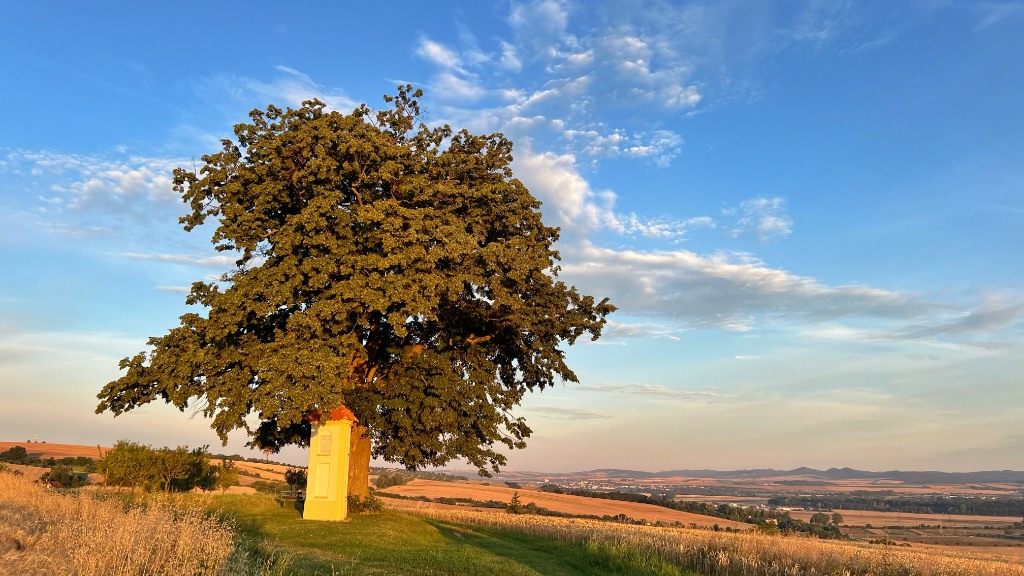 2. Lípa u božích muk Mistřice