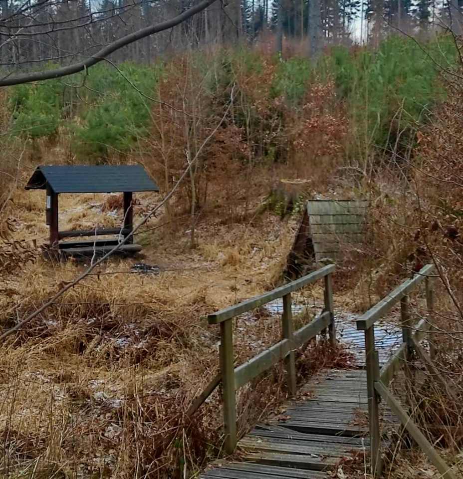 Jelení studánka (Krnov - Ježník)