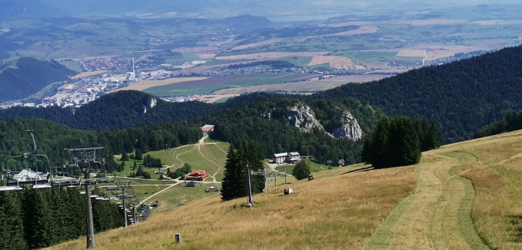 Malinné