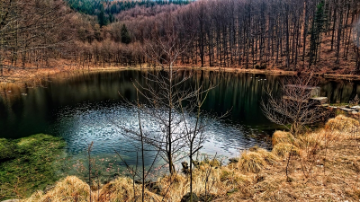 Přírodní památka Černé jezero - pěší